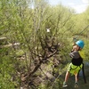 Image 1: Zipline Adventure Tour – Soar Through Treetops in Provo, UT
