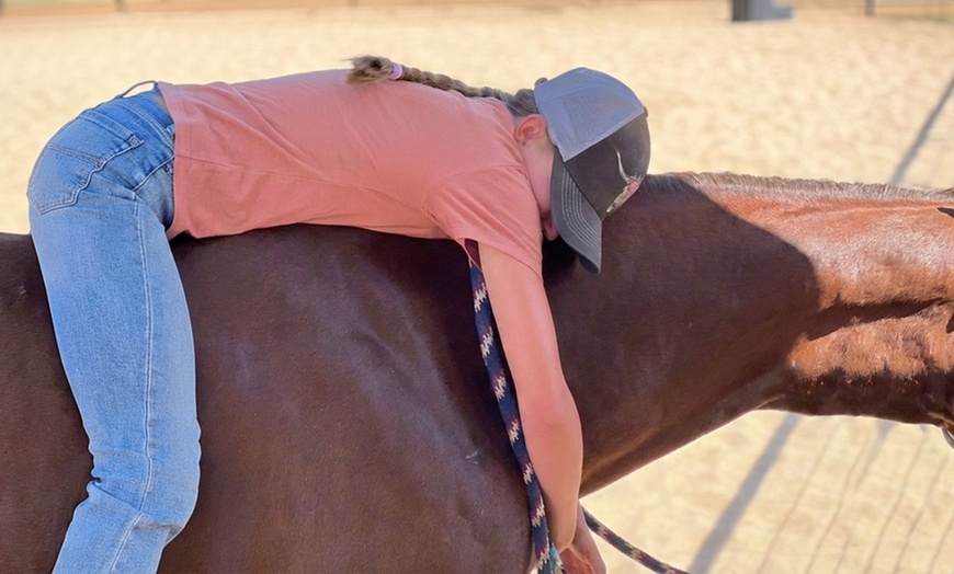 Image 2: Horseback Riding Lessons for All Ages – Develop Horsemanship Skills