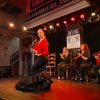 Image 4: ¡Vive la pasión del flamenco! Disfruta de un espectáculo único