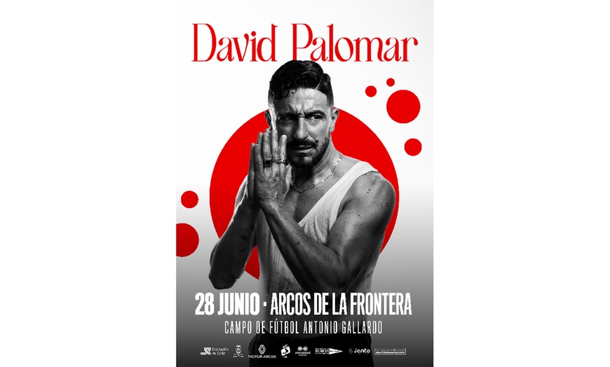 Image 4: 1 entrada al festival "Música para Todos" el 28 de junio de 2025