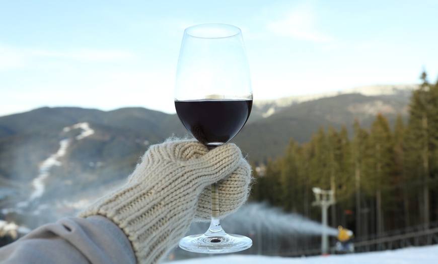 Image 3: Full Day Niagara Wine Tour with Transportation for Up To Four People