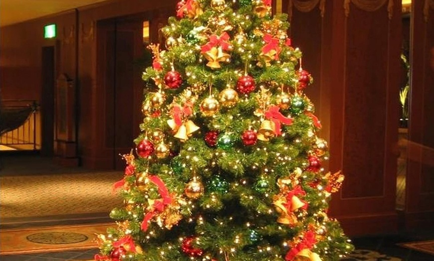 Image 11: XMAS25-2 Pack Christmas String Lights