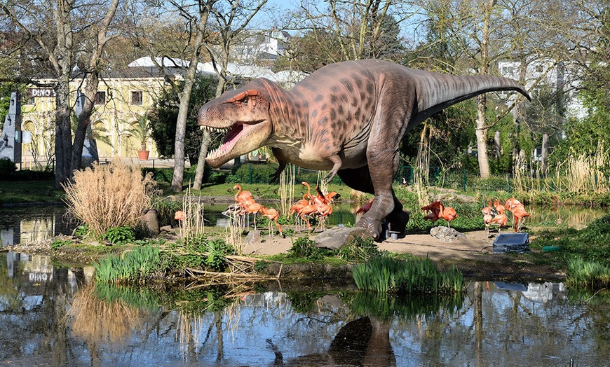 Image 3: Im Zoo sind die Dinos los! Tageskarte Kölner Zoo & Aquarium