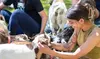 Make Your Event or Parties Enjoyable w/ Mobile Petting Zoo, Pony Rides, or Animal Grams (Up to 46%Off)