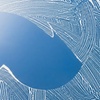 Image 3: Get Up to 20 Windows Cleaned with Exterior Glass Service