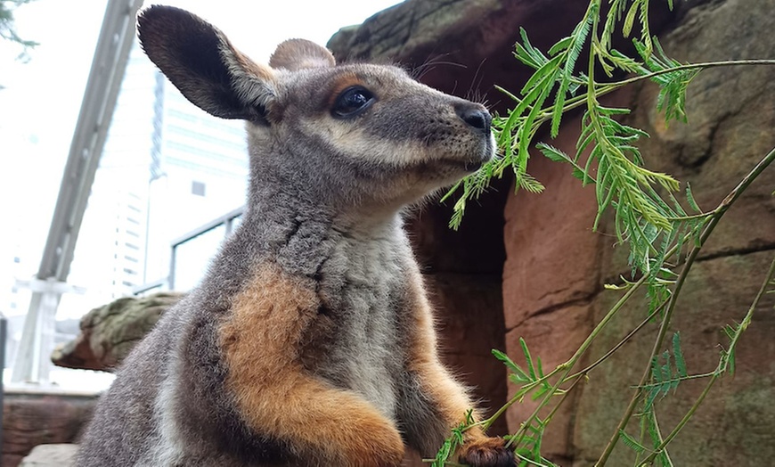 Image 8: Explore Wild Encounters with Adult and Child General Admission Tickets