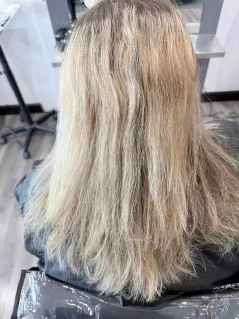 Custom Hair Refresh: Precision Cut, Color, & Highlights for a New Look