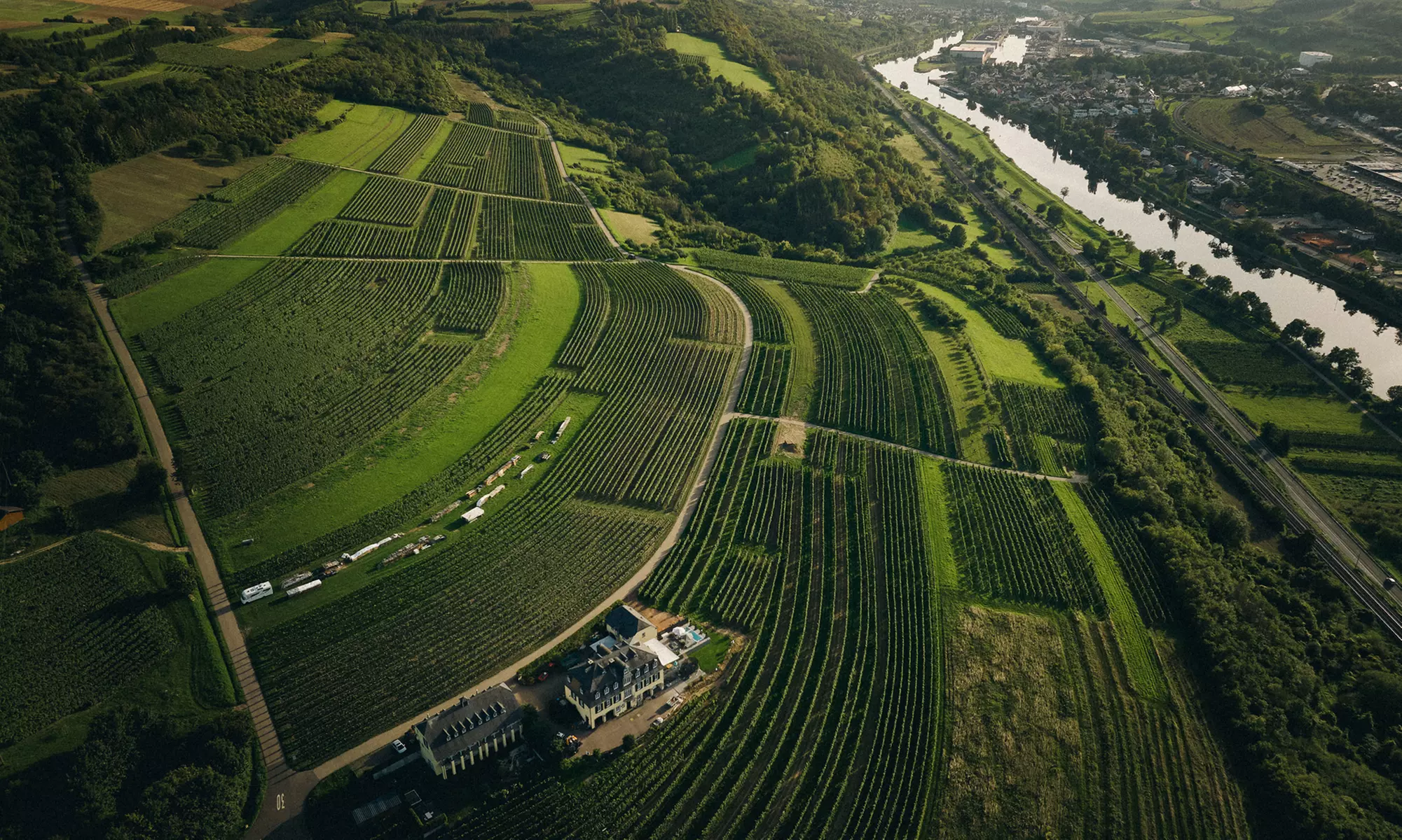 Verkostung von 7 deutschen Weinen von der Mosel für 2 oder 4 Personen