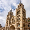 Image 7: Explore the Natural History Museum - Adult & Child Tours!