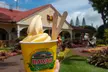 Waimea Waterfall Hike & Swim + Dole Plantation Tour (Breakfast & Lunch Included)
 - Second Medium