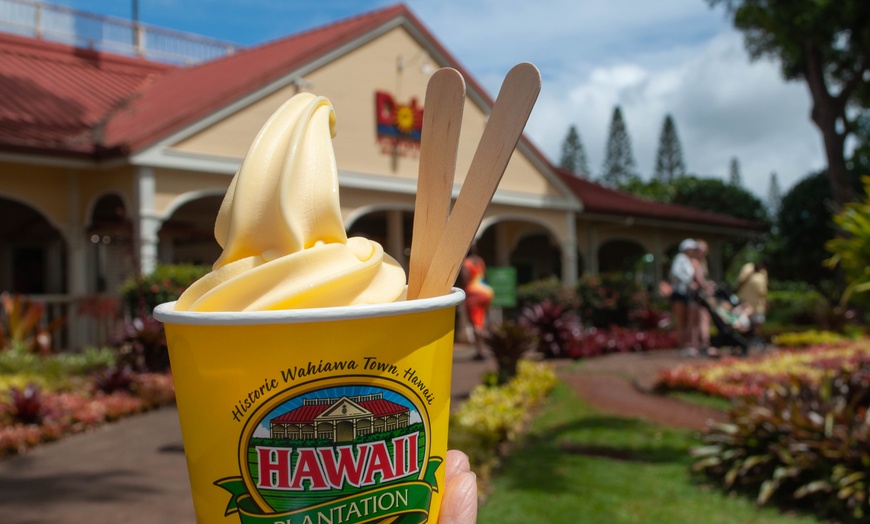 Image 3: WaimeaWaterfall Hike/Swim+ DolePlantationTour Breakfast&LunchIncluded
