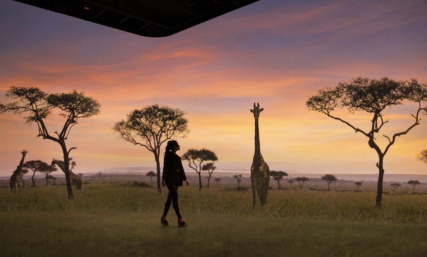 Image 6: Illuminarium Atlanta: Immersive All-Access Day Pass for One