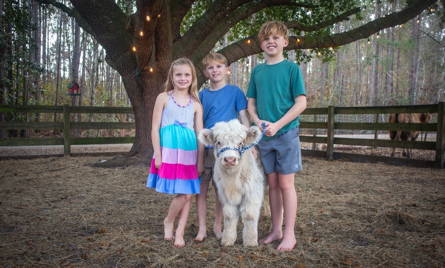 Image 8: Farm Tour at Hodges Hidden Highlands Farm in Middleburg, FL