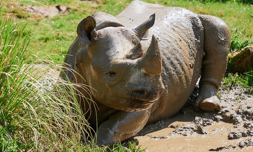 Image 10: Tageskarte für den Zoo Krefeld