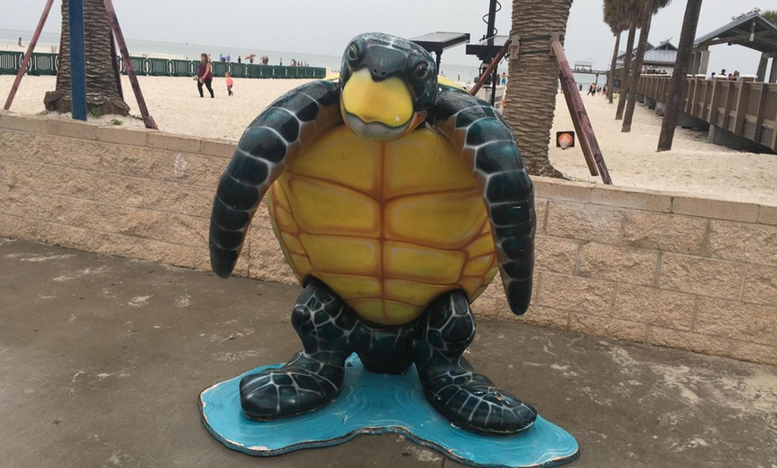 Image 11: Clearwater Beach Fun w/ Dolphin Sightings, Captain Memos & White Sands