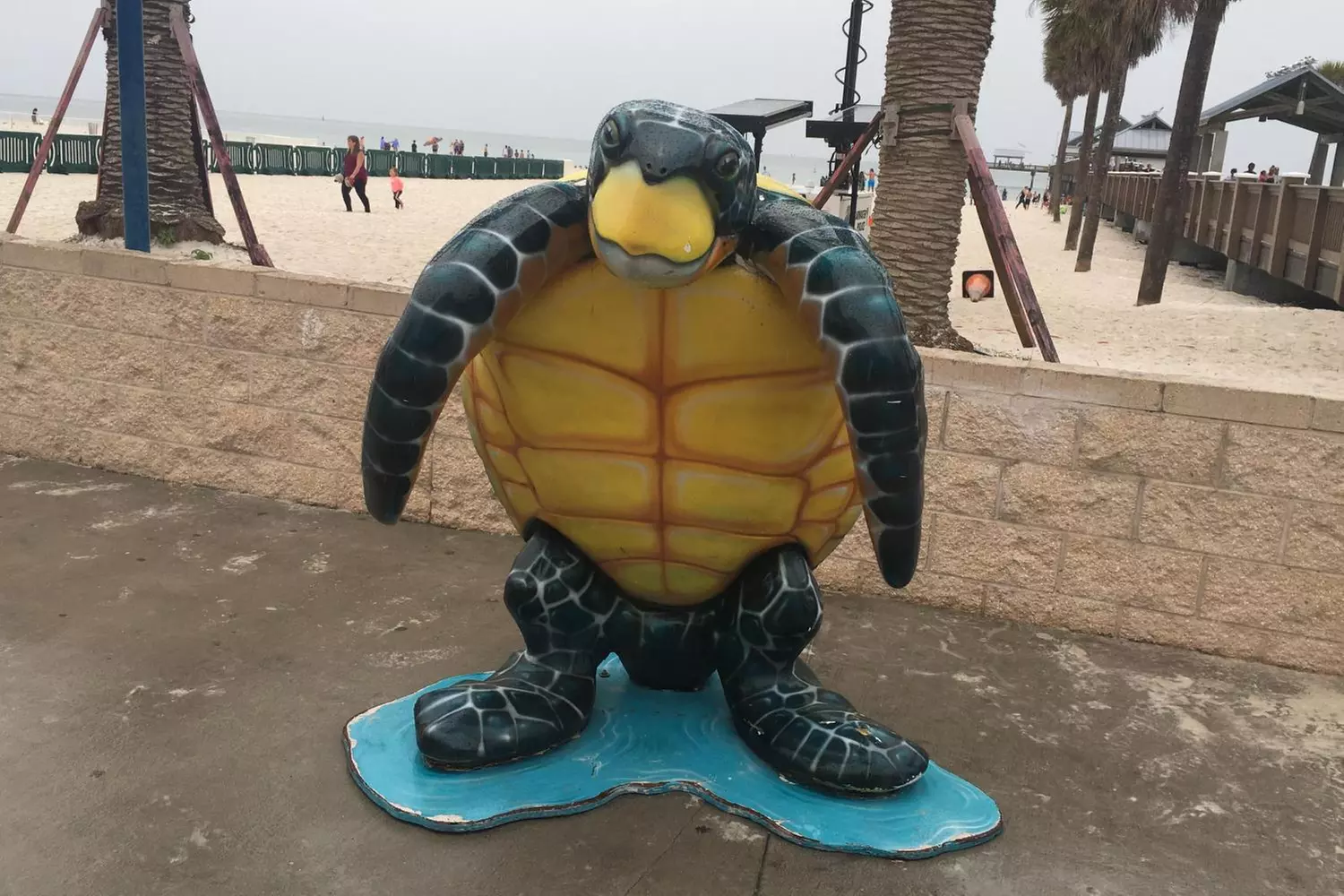 Clearwater Beach Fun w/ Dolphin Sightings, Captain Memos & White Sands