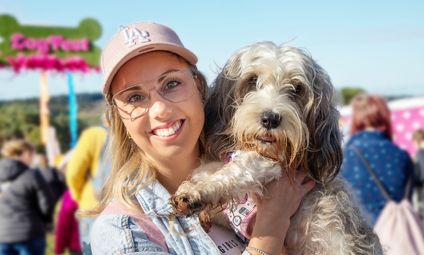 Image 8: DogFest 2025 | Your Favorite Dog-Friendly Festival 