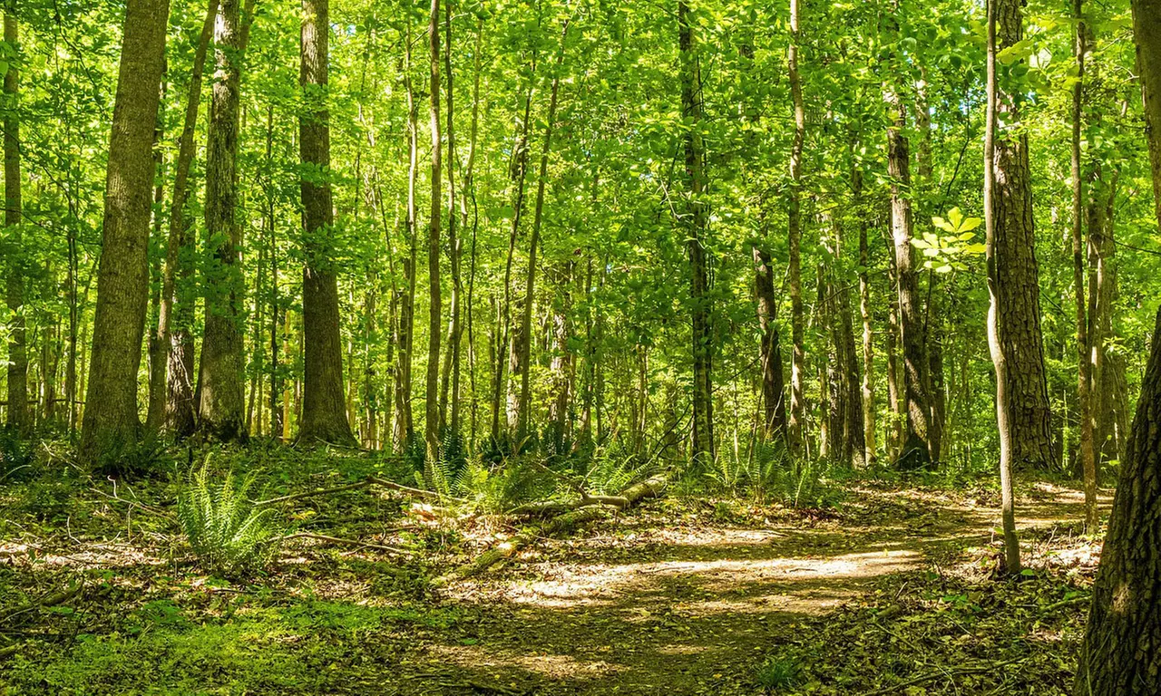 Guided Jeep Tours, Up to 20% Off