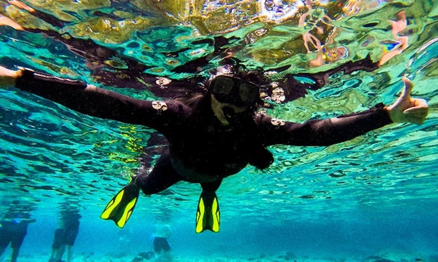 What to expect media