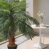 Image 2: Künstliche Palme im Kunststofftopf, 100 cm
