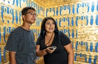 What to expect media