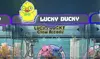 Fun Awaits: 20, 25 or 40 Tokens for Lucky Ducky Claw Arcade - Up to 30% Off