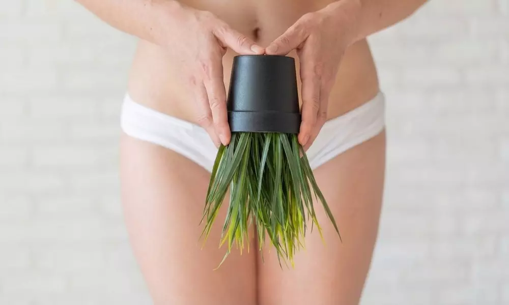 1, 3, or 5 Sessions of Brazilian/Bikini Waxing Service for Smooth Skin