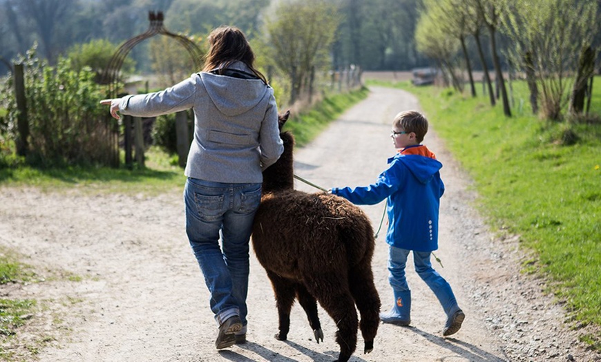 Image 8: Bis zu 3 Std. Alpaka-Wanderung für 2 Personen oder 1 Familie