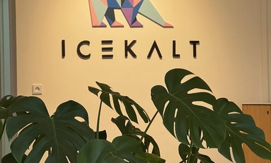 Image 3: 1 oder 2 Kältekammer-Anwendungen