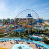 Image 2: LIMITED TIME OFFER: Cedar Point Shores - Up to 50% Off