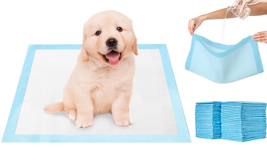 Image 1: Heavy Duty Training Pads for Pets