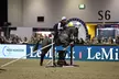 London International Horse Show returns to ExCeL — Don’t miss the equestrian magic from December 19–22, 2025 - Second Medium