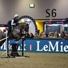 Image 6: The London International Horse Show at ExCeL - 19th-22nd December 2025