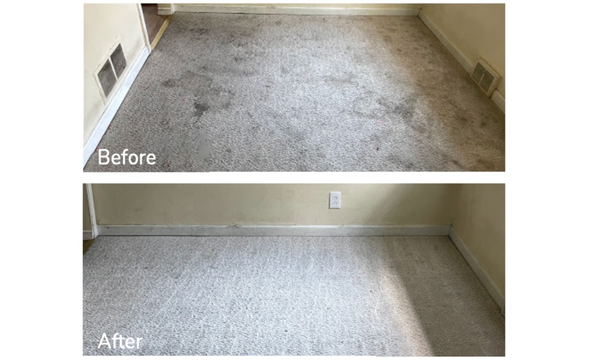 Image 9: Expert Rug Cleaning with Convenient Services 