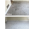 Image 9: Expert Rug Cleaning with Convenient Services 