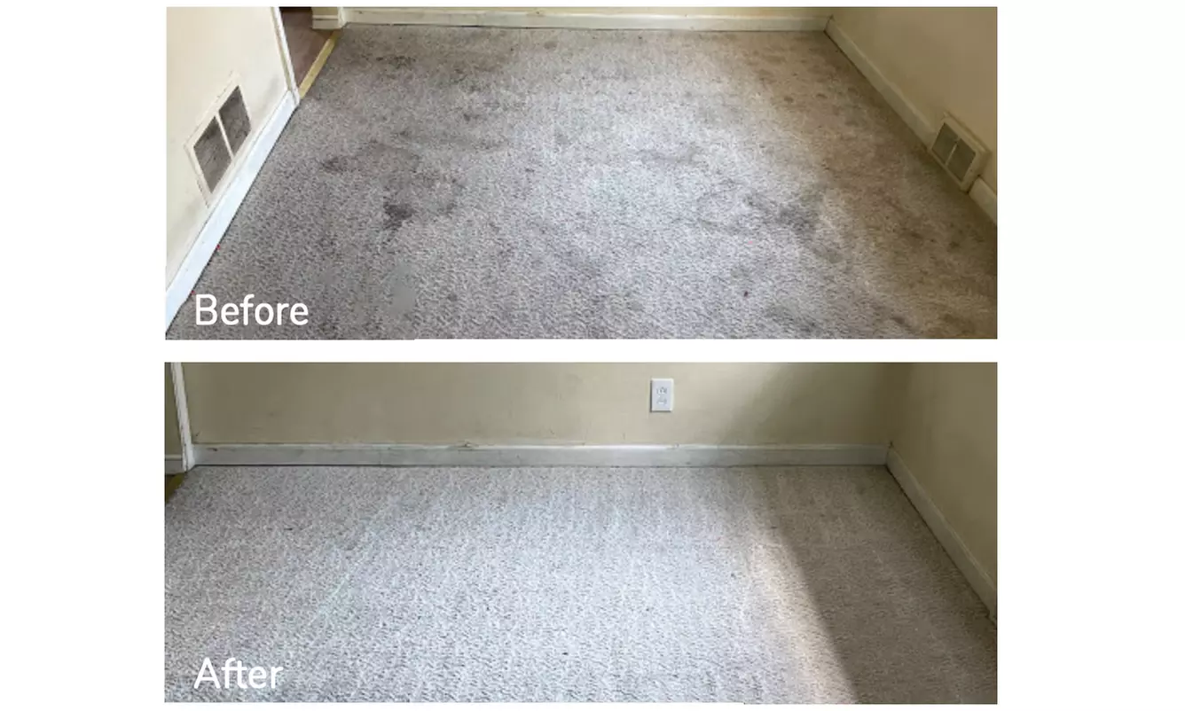 Expert Rug Cleaning with Convenient Services 