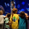 Image 3: GetOut New England with Admission to 42+ Iconic Attractions