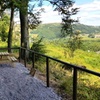 Image 7: Escape to Snowdonia: Relaxing Breaks at Macdonald Plas Talgarth Resort for up to 4