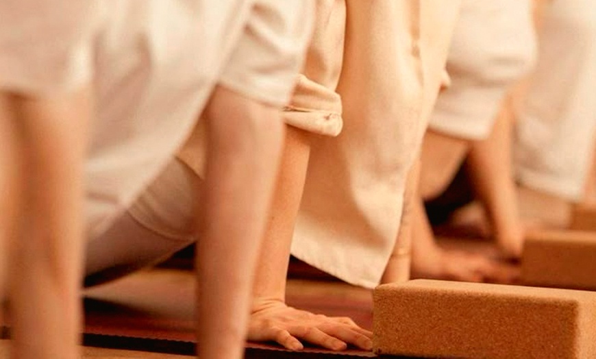 Image 4: 1, 4 o 12 clases de yoga y/o meditación para 1 o 2 personas