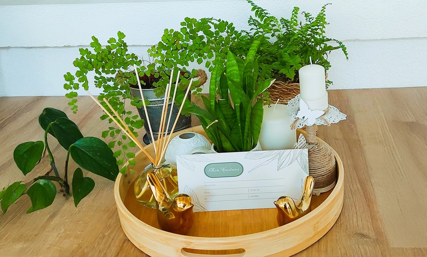 Image 2: Séance de réflexologie plantaire ou palmaire d'1h