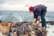 Half Bushel Crab Feast: Multiple Options (Up to 40% Off) - Second Medium