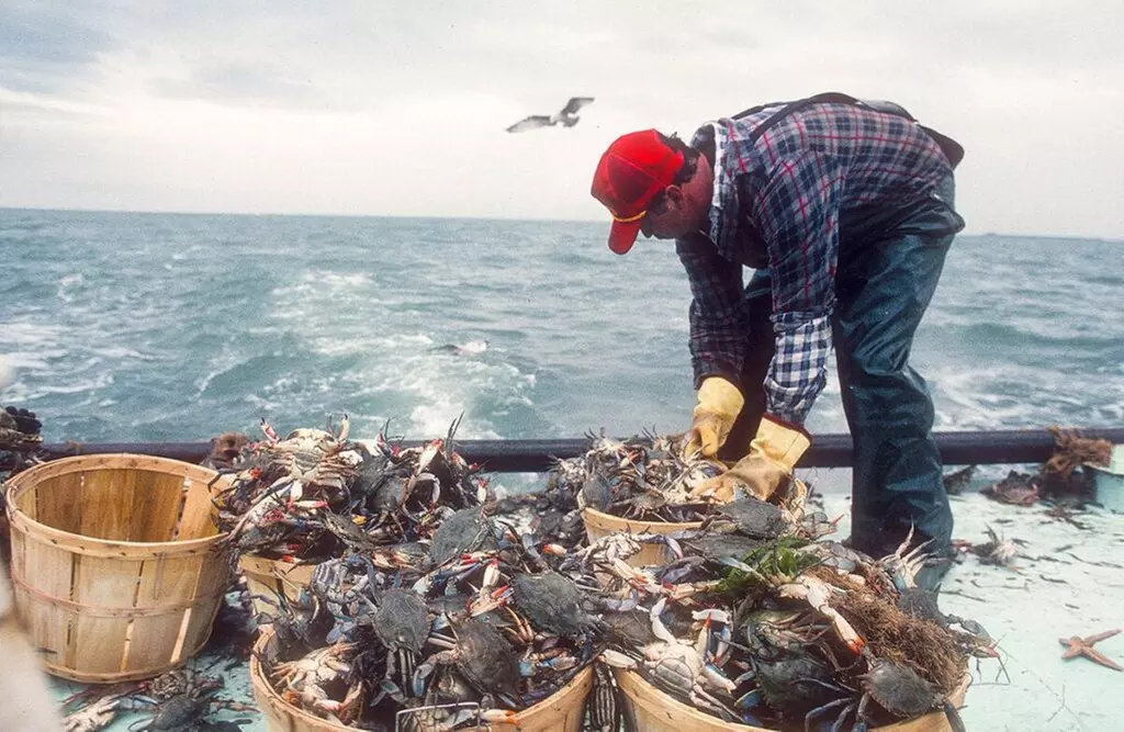 Half Bushel Crab Feast: Multiple Options (Up to 40% Off)