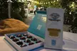 Chocolate Tasting and Canvas Painting for Two, Four, or Six People (Up to 83% Off) - Second Medium