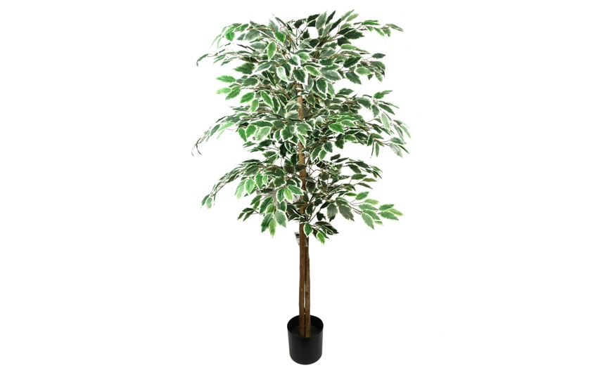 Image 2: Botanik Artificial Ficus Tree Collection