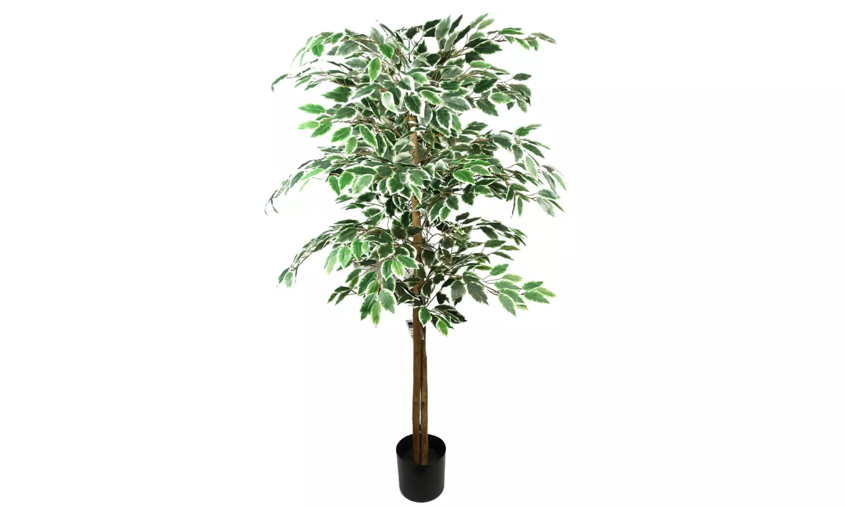 Botanik Artificial Ficus Tree Collection