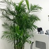Image 3: Smooth, Hair-Free Skin with Satori Laser Hair Removal