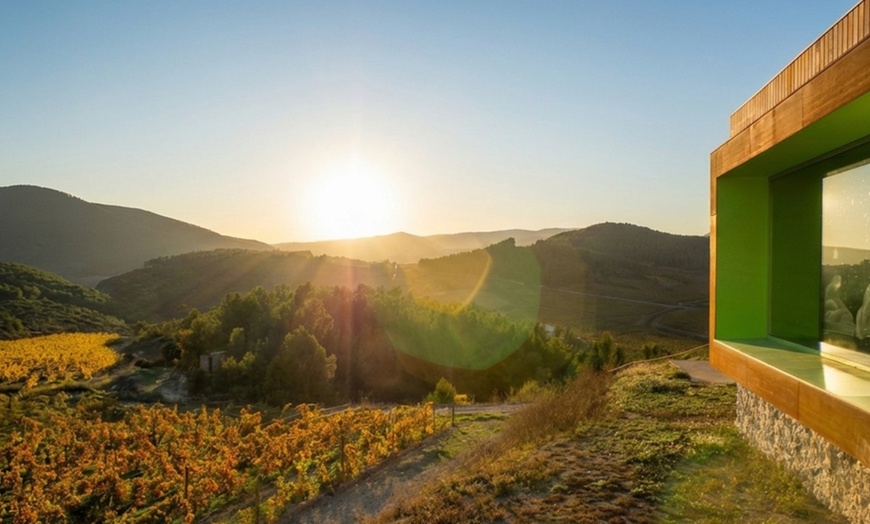 Image 9: Cata de 3 vinos con maridaje de productos km 0 y visita a viñedo