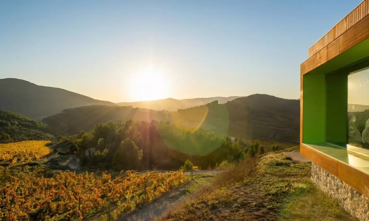 Cata de 3 vinos con maridaje de productos km 0 y visita a viñedo