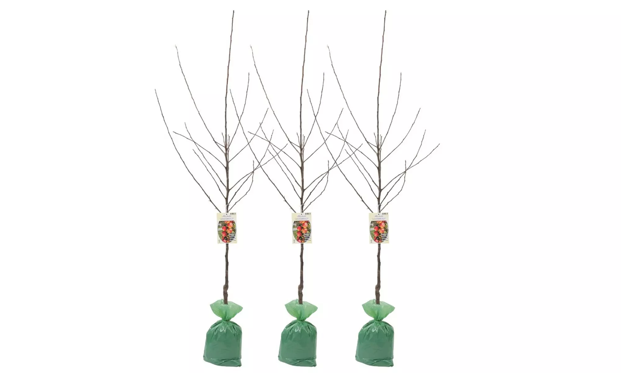 3x oder 5x Set Obstbäume