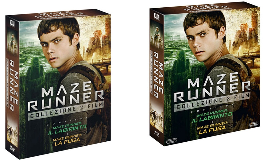 Image 1: Maze Runner Collection DVD o Blu-Ray